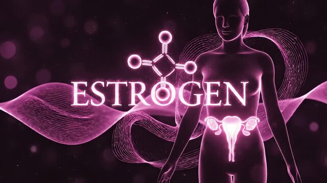 Estrogen Understanding the Key Female Hormone and Its Role in the Body