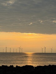 Obraz premium wind turbines at sunset