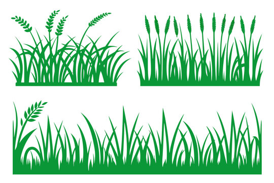 Green grass and cereal plants silhouettes vector set