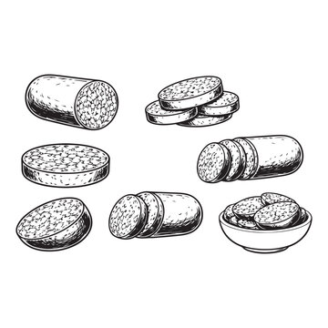 Black Pudding  lineart Slices Cartoon Food Vector Illustration Traditional Black Pudding Sausage Cut Pieces Cartoon Food Vector Collection British Black Pudding 