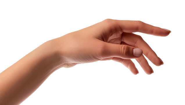 Graceful female hand with fingers slightly curved, reaching, offering, or holding gesture