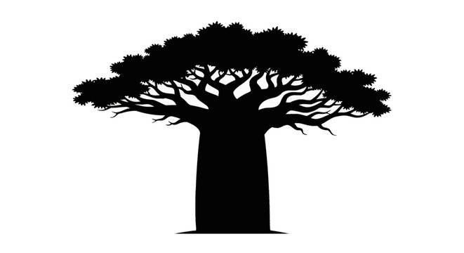Black silhouette of an African baobab tree with a wide trunk and dense canopy, isolated on a white background. Botanical illustration of Adansonia digitata from the savanna.