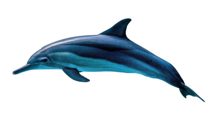 Fototapeta premium Graceful blue and white striped dolphin swimming, representing freedom and ocean beauty