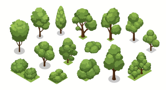 Collection of various stylized green isometric trees and bushes isolated on a white background, featuring different shapes and sizes for garden, forest, or park landscape design.