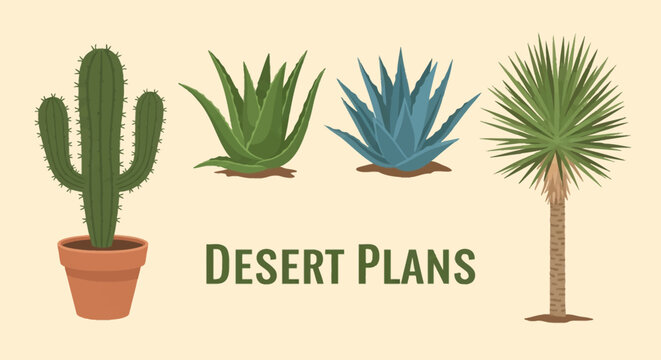Vector illustration set of four desert plants featuring a saguaro cactus in a terracotta pot, green aloe vera succulent, blue agave plant, and a tall yucca tree with text.