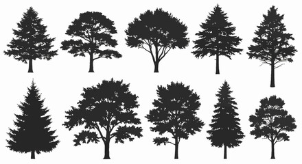 Fototapeta premium Collection of ten distinct black tree silhouettes including oak, pine, fir, and maple species, isolated on a white background for environmental graphic design and landscape architecture.