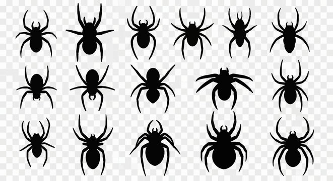 Set of sixteen diverse black spider silhouettes featuring various arachnid species with detailed legs and body shapes, isolated on a transparent grid background for graphic design.