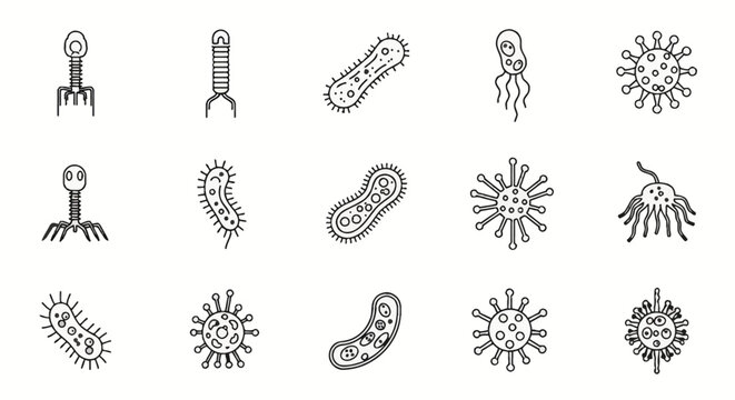 Set of fifteen minimalist black line vector icons depicting various types of viruses, bacteria, microbes, and pathogens including bacteriophages on a clean white background.