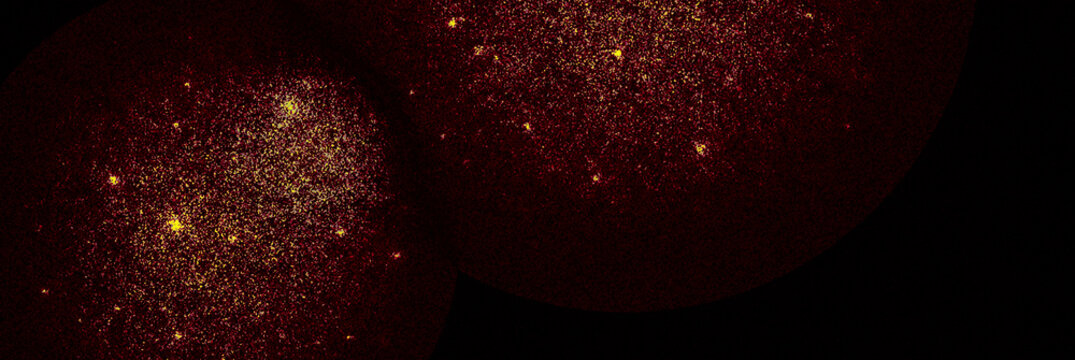 입자감이 살아있는 유기적 세포 배경으로 현대 디자인에 적합합니다.