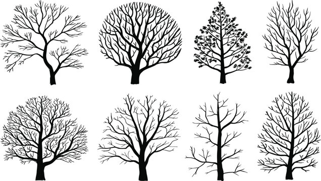 Silhouette illustration of eight deciduous trees with diverse branching patterns, leafless winter forest artwork showing botanical diversity, natural shapes, seasonal design inspiration