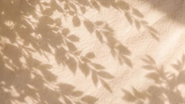 Soft beige background with leaf shadows in sunlight, natural pattern, minimal aesthetic, organic texture, calm mood.