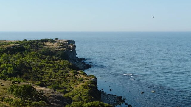 Coastal cliff on Stora Karls&ouml; overlooking the calm Baltic Sea in soft morning light, Gotland, Sweden