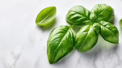 Obraz premium Freshly harvested bright green basil leaves with a focus on their vibrant texture and natural essence