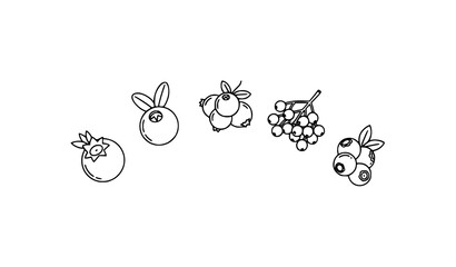 Arc berry thin line icon set blueberry elderberry vector design © Opurbo