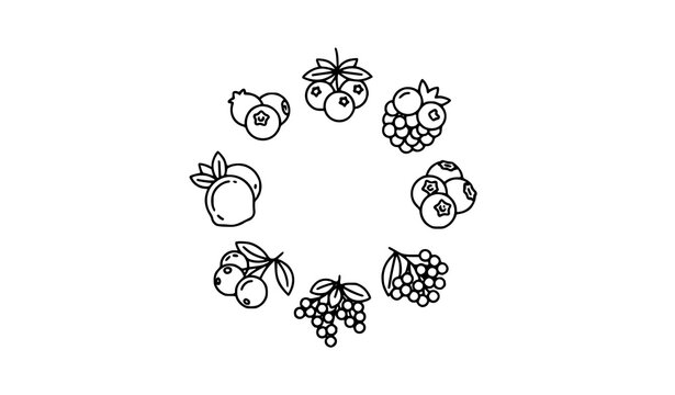 Circular berry thin line icons blueberry elderberry vector design