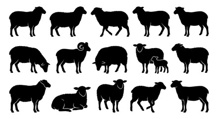 Black sheep silhouettes vector set. Standing grazing walking lying down and mother lamb poses. Solid black minimal animal icons for agriculture farming and rural design projects. © VisiNode Studio