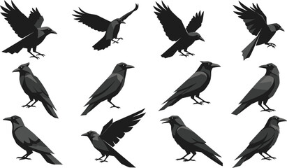 Fototapeta premium Crow and Raven Icon Set Featuring Flying and Perched Bird Silhouettes for Wildlife, Nature, and Gothic Design Projects