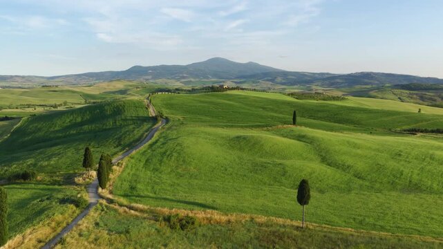 Terrapille Farm Road Through Rolling Hills, Tuscany, Italy