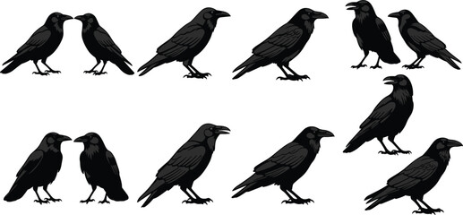 Fototapeta premium Crow Silhouette Icon Set Featuring Various Raven Poses and Bird Illustrations for Wildlife, Nature, and Gothic Design Projects