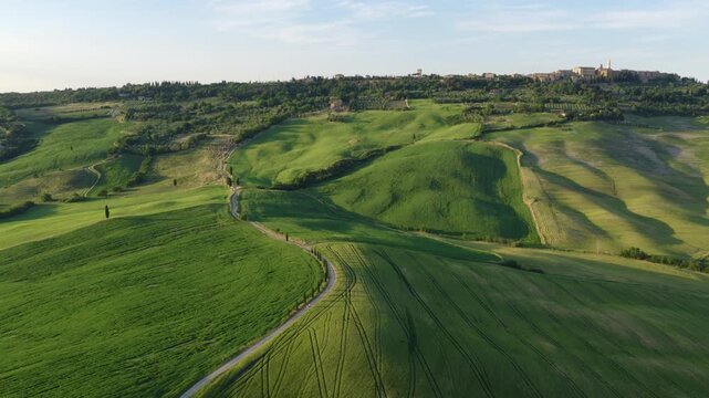 Terrapille Farm Road Through Rolling Hills, Tuscany, Italy
