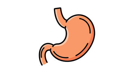 Obraz premium Human Stomach Organ Illustration.