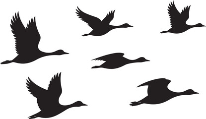 Naklejka premium Flying Crane Birds Silhouette Set Elegant Heron Bird Flight Wildlife Nature Design Elements