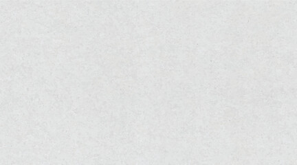 Fototapeta premium Clean Light Grey Cardboard Surface Texture with Fine Fiber Detail and Minimalist Recycled Paper Feel for Eco-Friendly Branding and Product Packaging