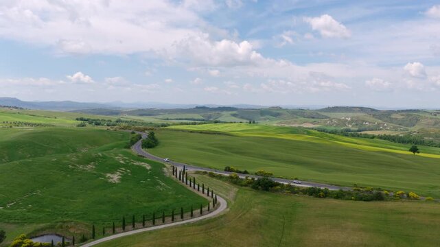 Aerial View of Winding Cypress Road Through Tuscan Hills, Italy
