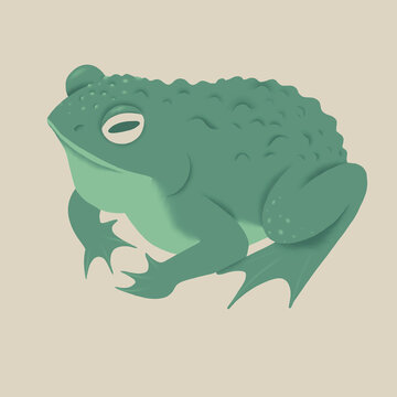 square card with a stylized green toad