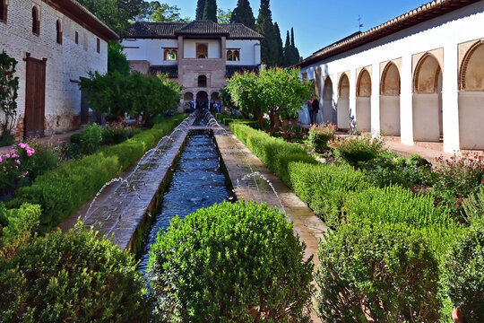 Granada, giardini, roseti e fiori del complesso del Generalife dell'Alhambra, Andalusia, Spagna