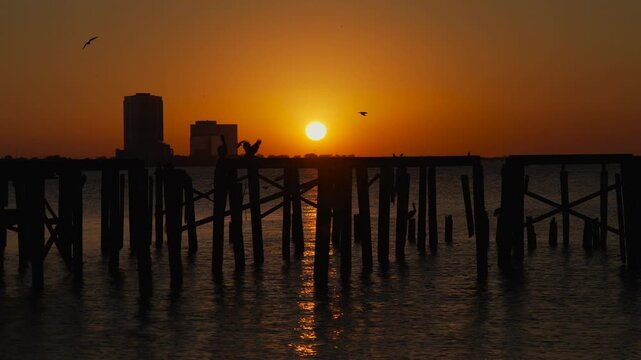 Sunset over Lake Pontchartrain in New Orleans and birds are setting in for the night