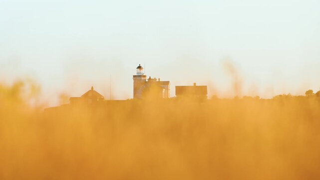 Stora Karls&ouml; lighthouse seen through golden dry grass at sunrise with soft warm light and shallow depth of field, Gotland Sweden