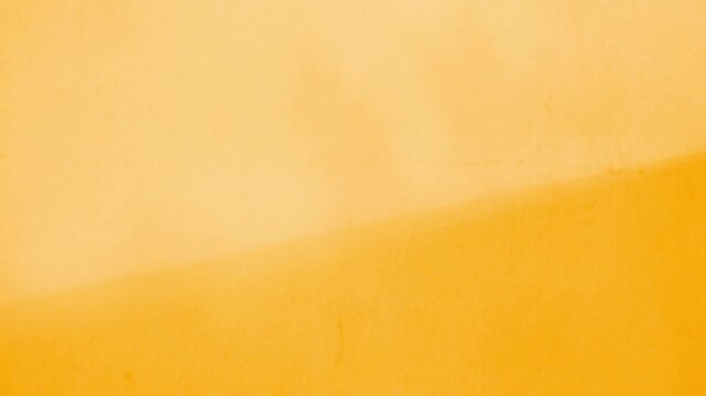 Orange background shadow leaves pastel brown abstract backdrop summer naturedesert, template travel luxury design wallpaper surface display for presentation product cosmetic, minimalist pattern