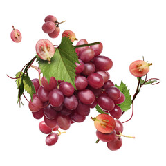Obraz premium Fresh juicy grapes and green leaves on transparent background