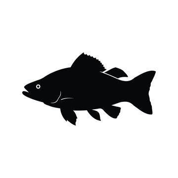 Black and white fish silhouette vector illustration with detailed fins and tail, fish patrolling territory silhouette vector illustration