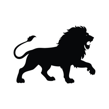 Black and white lion silhouette vector illustration with detailed mane design, lion in battle pose silhouette vector illustration