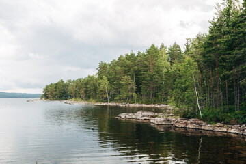 Fototapeta premium Serene Wilderness Lake with Mirror-Like Reflections, Untouched Alpine Water Surrounded by Dense Pine Forest in Soft Natural Light