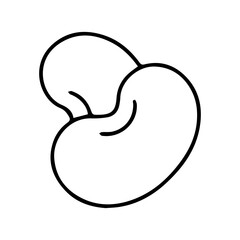 Obraz premium Cashew Nut Outline