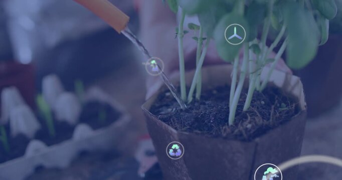 Vertical video: Nozzle pouring water into pot sprouts, AR animating metrics and code for plant care