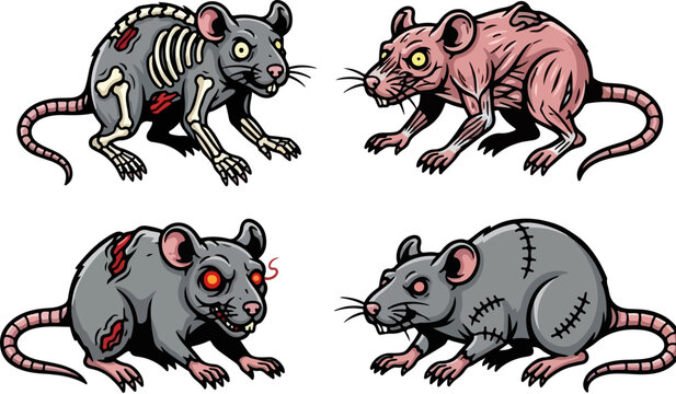 Zombie rat vector set with undead rodent characters, creepy laboratory monster rats with exposed bones and muscles, 4 horror animal illustrations