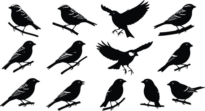 Bird silhouette illustration set, perched and flying birds, black design, wildlife vector artwork, nature drawing, decorative graphic, flat vector illustration