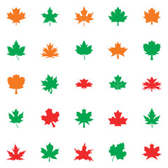 Obraz premium Maple Leaf Icon Variations Set. Set of maple leaf icons representing Canadian symbol design isolated on white background. EPS 10