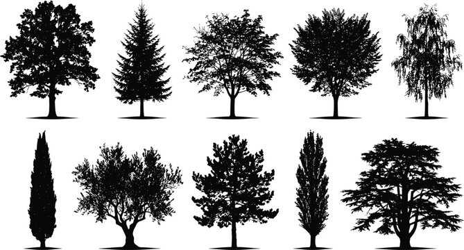 Collection of ten tree silhouettes, vector illustration of coniferous, deciduous, broadleaf trees with varied foliage styles, flat vector illustration