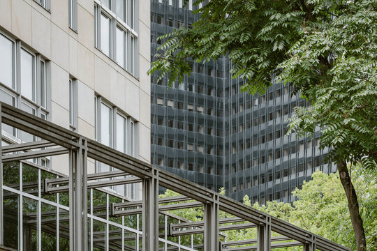 Modern urban architecture with building facade and stairs leading by railing past a tree with greenery creating strong lines outdoors in city