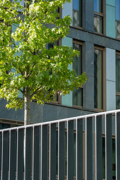 Clean contemporary city scene showing modern urban architecture facade with tree greenery beside a railing framing a vertical building outdoors in daylight