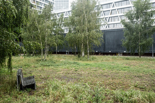 Calm outdoors urban landscape with modern architecture beside a park showing grass trees greenery and a bench in an open city space