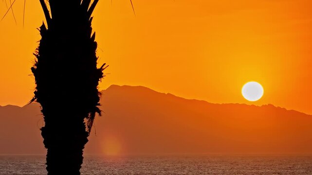 A bold orange sunset glows over a calm sea and distant mountain ridge, with a dramatic palm tree silhouette framing the foreground in Egypt
