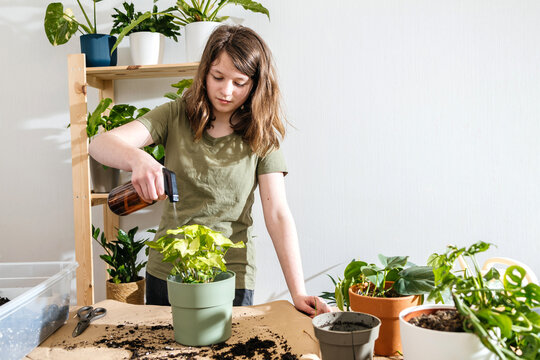 Girl spraying houseplant with spray bottle at table indoors
