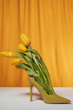 Yellow tulips in high heel shoe still life with femininity symbolism