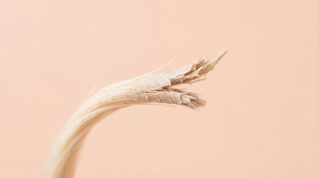 Split ends on bleached damaged hair against soft pastel background